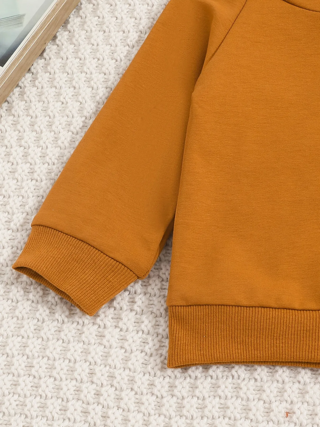 2PCS Toddler Boys Hoodie Sweatshirt & Pant Set