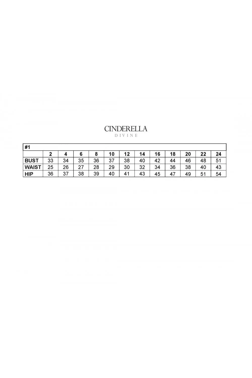 Cinderella Evening Dress CD958