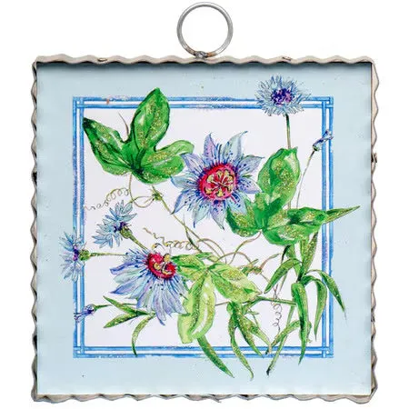 Gallery Mini || Passion Flowers